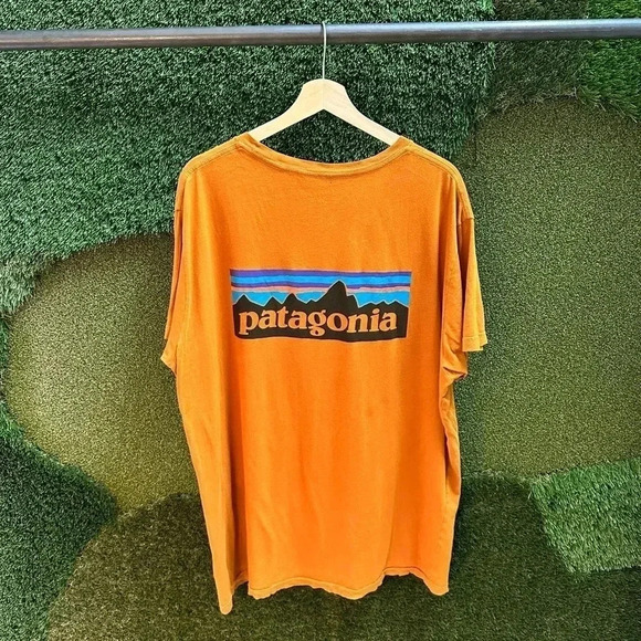 Patagonia  Logo T-shirt Size XXL - Picture 2 of 6
